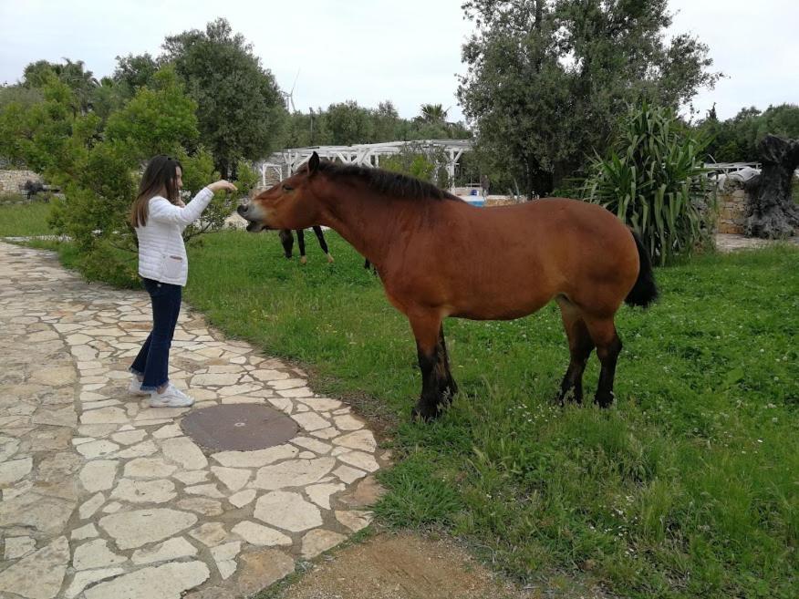 Masseria Sciaiani Piccola Villa Castelli Εξωτερικό φωτογραφία